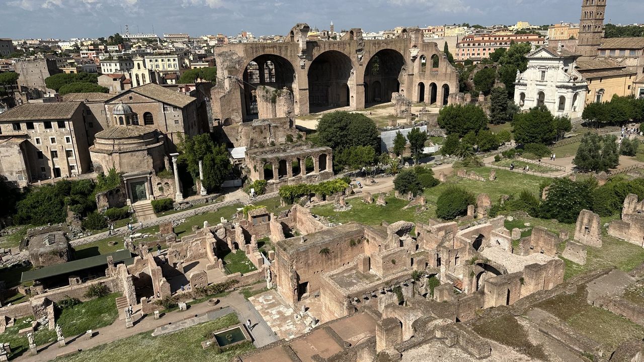 Roman Forum ruins with the Basilica of Maxentius and umbrella pines, seen from the Palatine