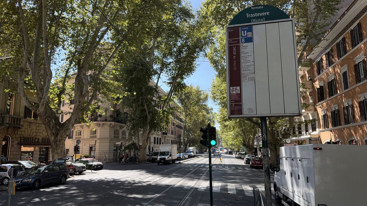 The tram and bus stop on Viale Trastevere under the plane trees, tram 8 signage on the shelter